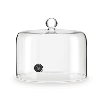 the Smoking Gun® & Cloche in Argento Cloche