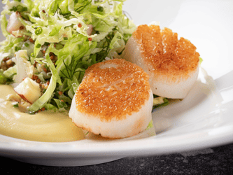 A scallop dish presented aesthetically on a plate.