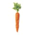 Grated, finely diced, carrot sticks and chopped carrot formed in the shape of a whole carrot