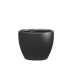 pdp