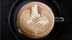 Creatista Plus - How to Do Latte Art