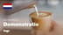 The Bambino® | Thuis professionele latte art maken | Sage Appliances NL