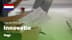 bekijk video 4