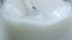 Ver video